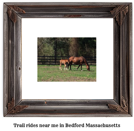 trail rides near me in Bedford, Massachusetts